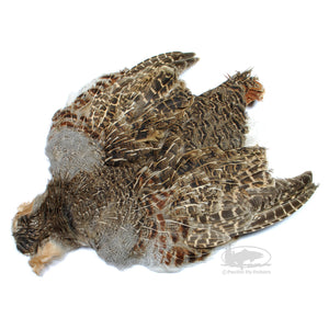 Hungarian Partridge Full Skins - Natural - Fly Tying Materials