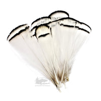 Lady Amherst Pheasant Tippets - Fly Tying Feathers