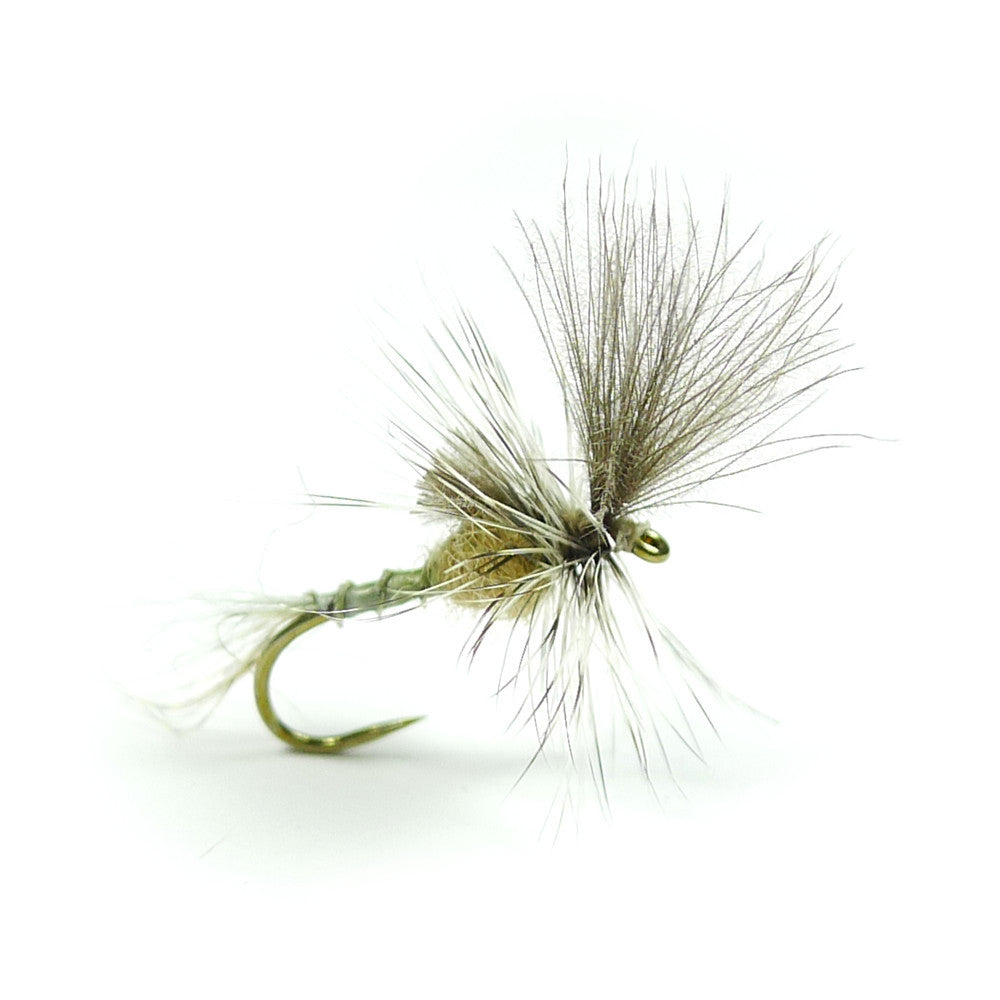 Last Chance Cripple - Callibaetis - Pacific Fly Fishers