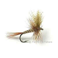 March Brown - Pacific Fly Fishers