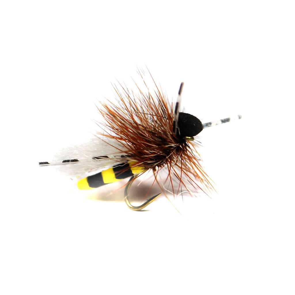 Attractor Dry Flies  Pacific Fly Fishers