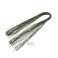 MFC Centipede Legs - Mini - Speckled Olive