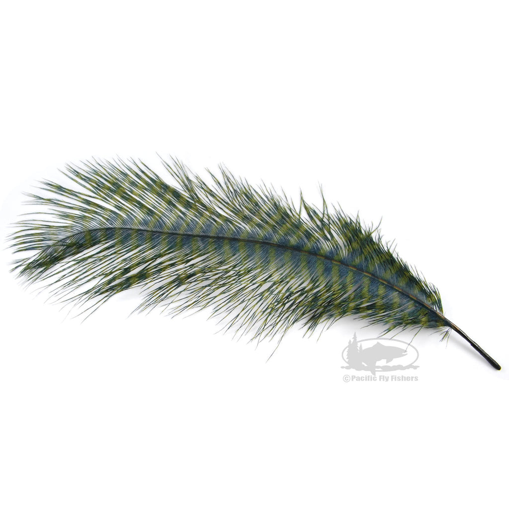 MFC Ostrich Plumes - Barred - Blue