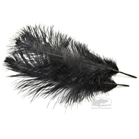 MFC Ostrich Plumes - Black - Fly Tying Materials
