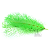 MFC Ostrich Plumes - Chartreuse - Select Steelhead Spey Intruder Feathers - Fly Tying Materials