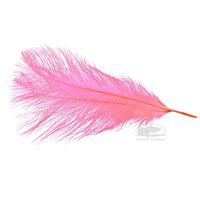 MFC Ostrich Plumes - Pink - Select Steelhead Spey Intruder Feathers - Fly Tying Materials