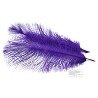 MFC Ostrich Plumes - Purple - Select Steelhead Spey Intruder Feathers - Fly Tying Materials