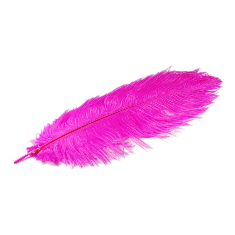 Tigofly 13 Colors Dyed Ostrich Feathers Herl Plume Fluffy Body Nymphs  Thorax Collar Flies DIY Fly Fishing Tying Materials (13 pcs 13 Colors), Fly  Tying Materials -  Canada