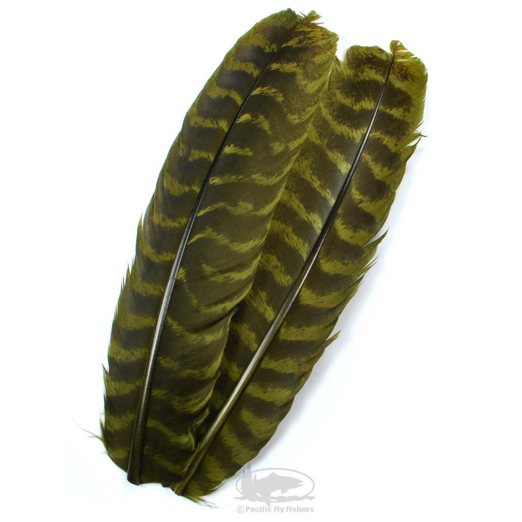 Ozark Turkey Barred Wing Quills - Dyed Olive