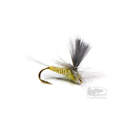 Parachute Quill Body Blue Wing Olive - Dry Fly