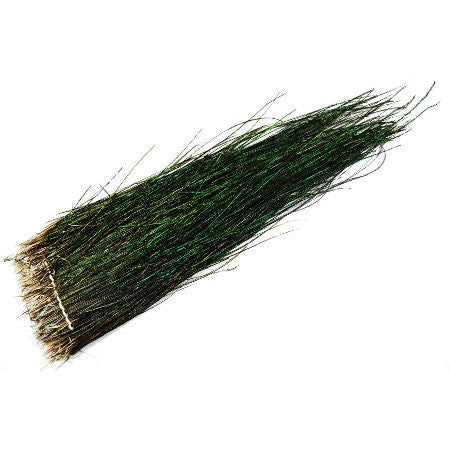 Peacock Herl - 10"-12" - Pacific Fly Fishers