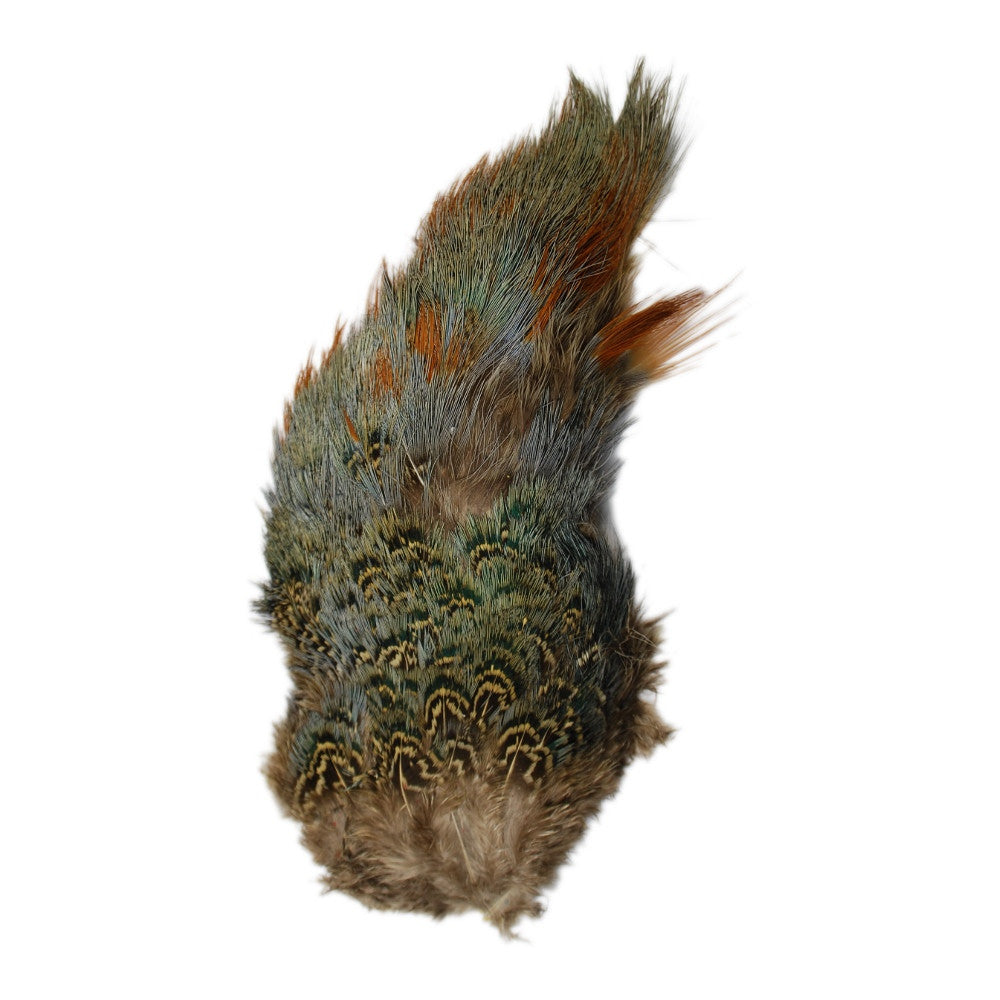 Ringneck Pheasant Rump