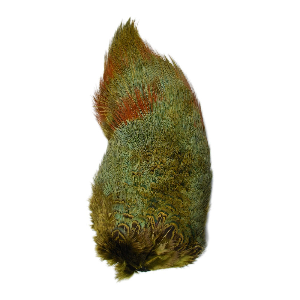 Ringneck Pheasant Rump