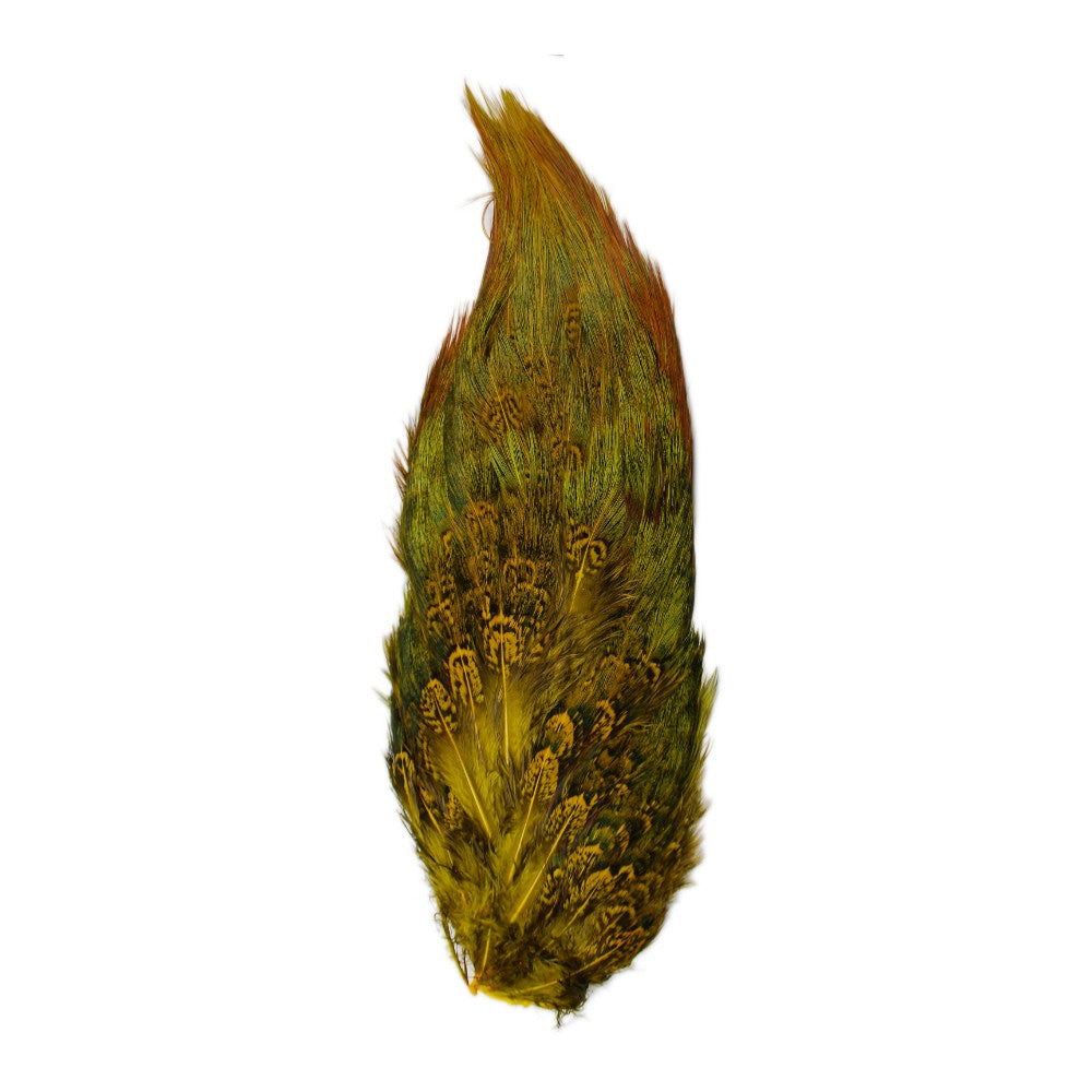 Ringneck Pheasant Rump