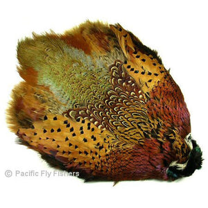 Ringneck Pheasant Skin - Pacific Fly Fishers