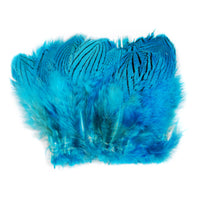 Silver Pheasant Feathers - Silver Dr Blue