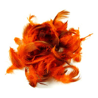 Teal Flank Feathers - Orange