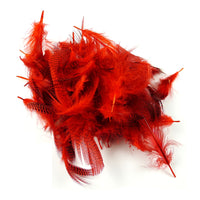 Teal Flank Feathers - Red