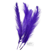 UV Raptor Hackle - Fl Bright Purple - Spey - Fly Tying Materials