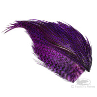 Whiting Bugger Packs - Purple Grizzly