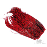 Whiting Bugger Packs - Red Grizzly