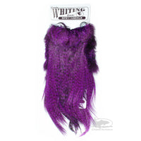 Whiting Genetic Spey Hackle - Grizzly Purple - Heron Substitute Spey Feathers