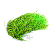 Whiting Streamer/Deceiver Packs - Grizzly Fl. Green Chartreuse