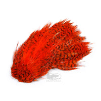 Whiting Streamer/Deceiver Packs - Grizzly Orange